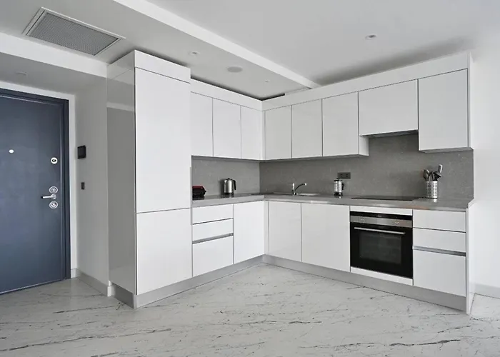 Beautiful Modern 1bd Views W Poolgym! #223 Holiday home